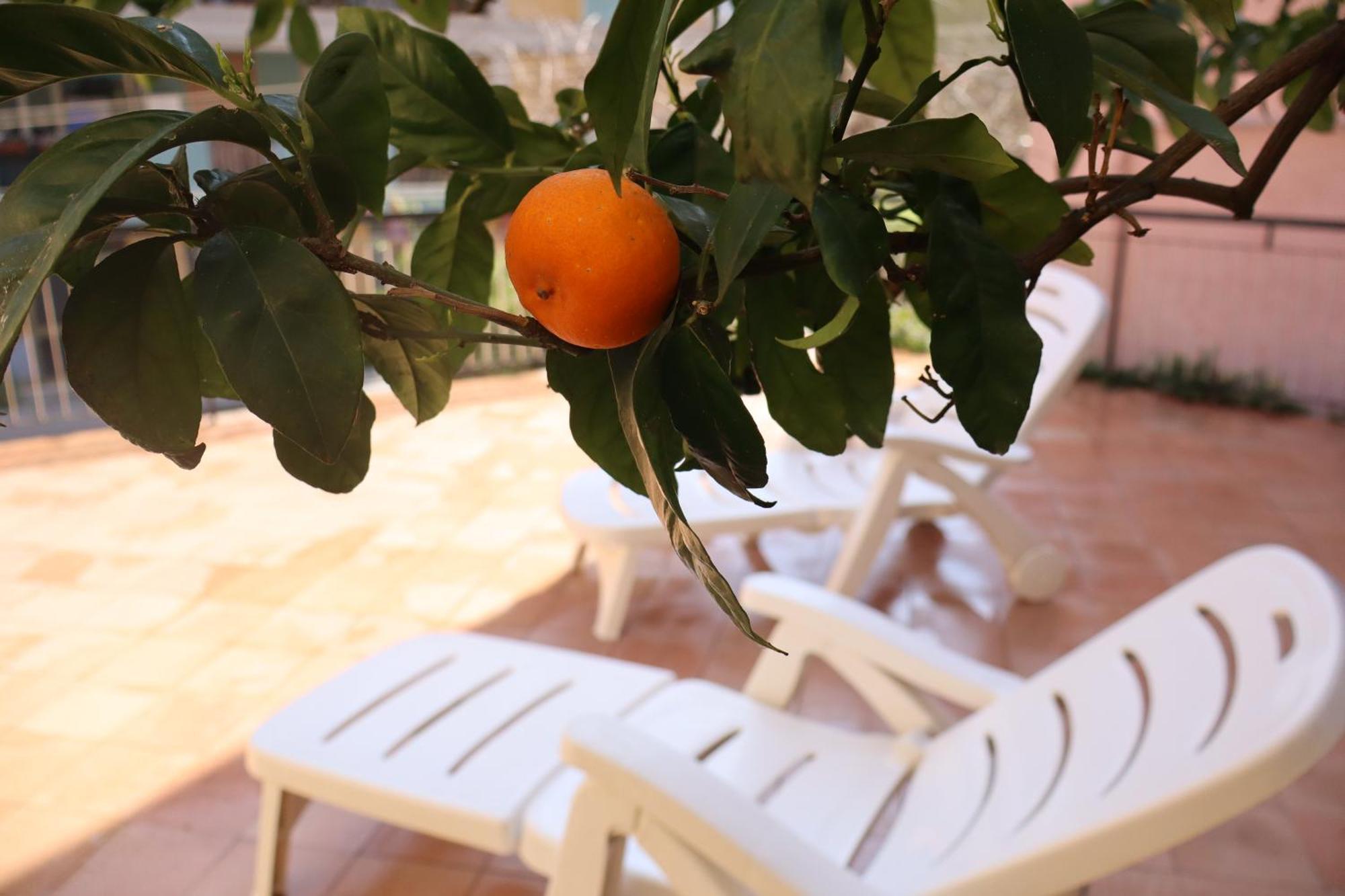 Apartamento Giulio'S Terraces In The Bay Porto Venere Exterior foto